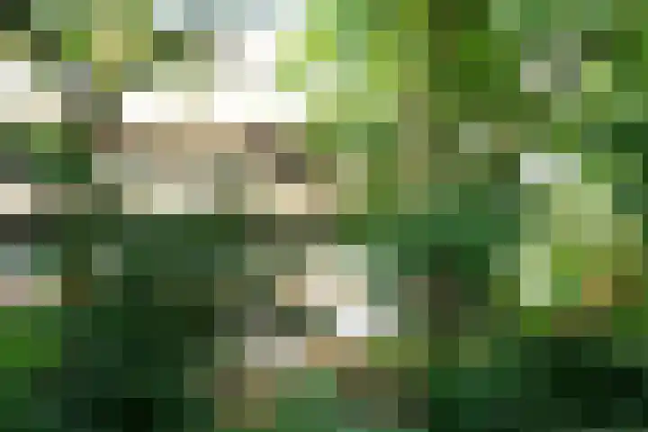Kattenburgerhof 18 Amsterdam thumbnail 30