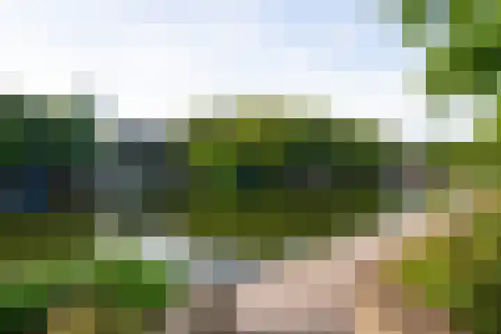 Kattenburgerhof 18 Amsterdam thumbnail 37