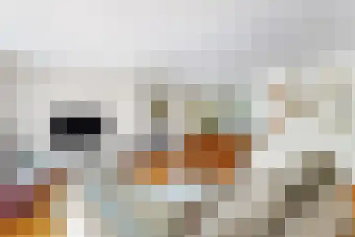 Kattenburgerhof 18 Amsterdam thumbnail 5