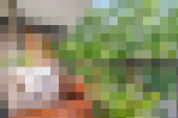 Kattenburgerhof 18 Amsterdam thumbnail 9