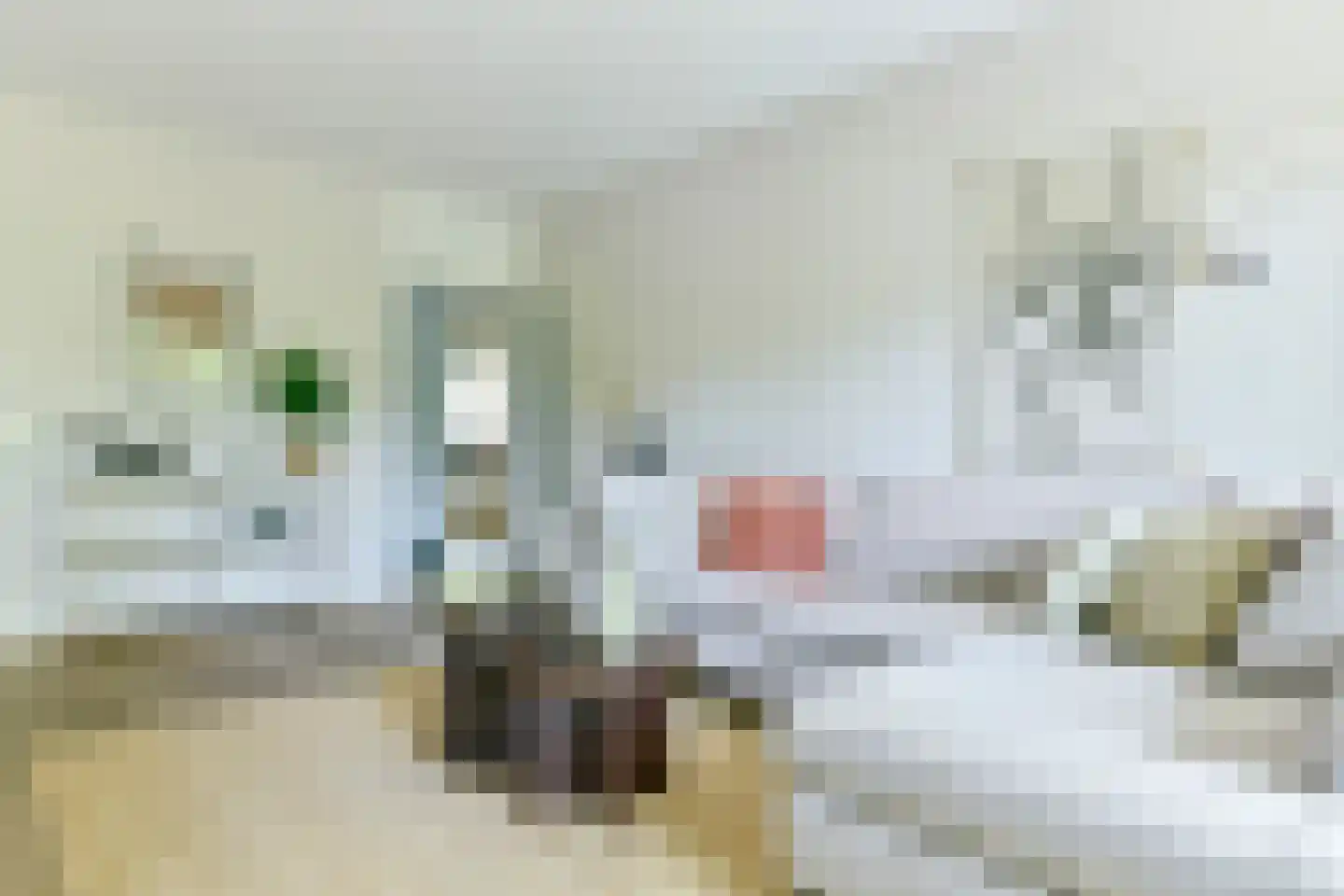 Kattenburgerhof 32 Amsterdam thumbnail 11