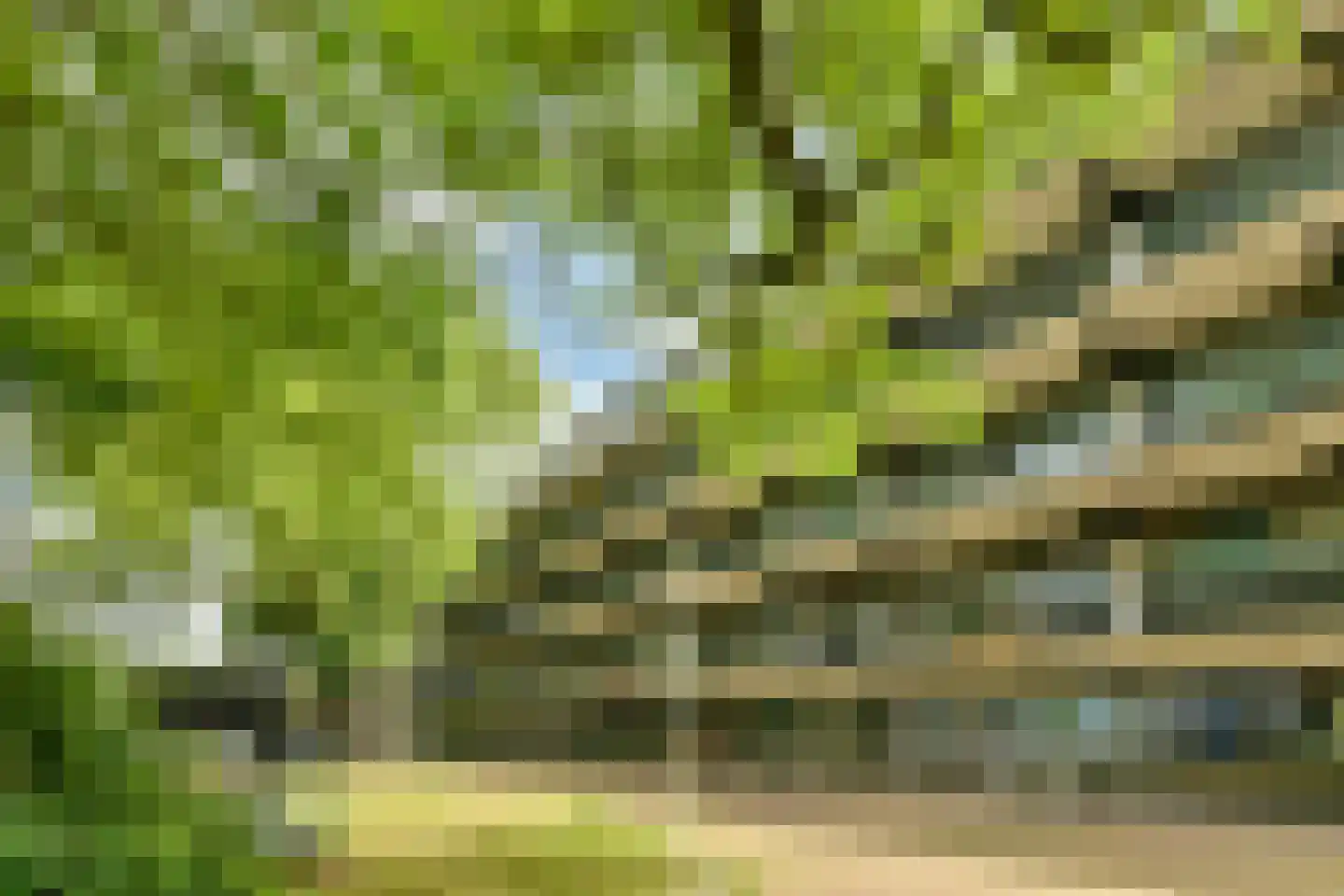 Kattenburgerhof 32 Amsterdam thumbnail 24
