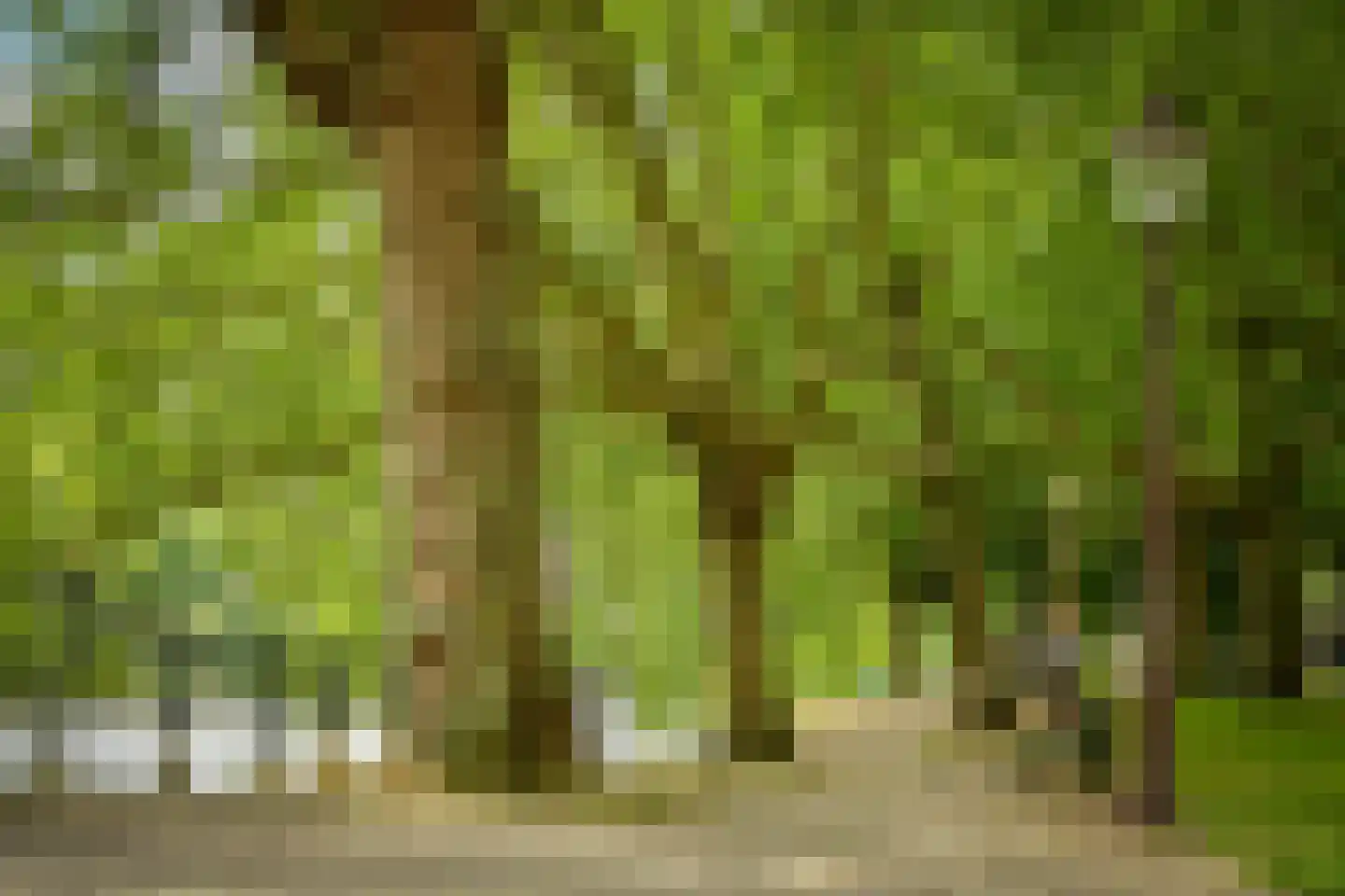 Kattenburgerhof 32 Amsterdam thumbnail 26