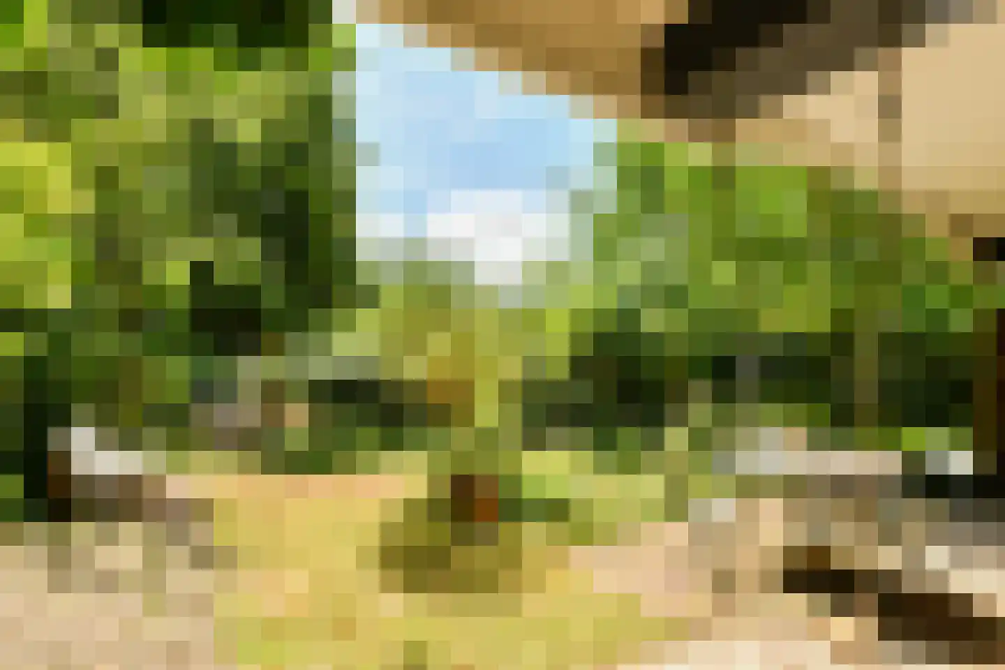 Kattenburgerhof 32 Amsterdam thumbnail 7