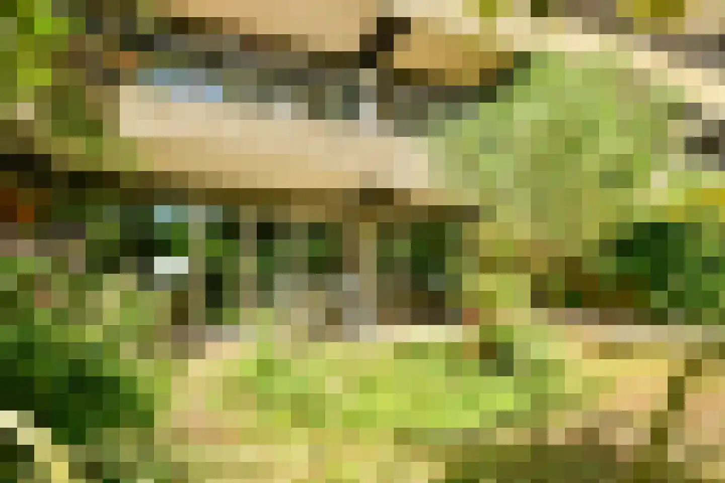 Kattenburgerhof 32 Amsterdam thumbnail 8