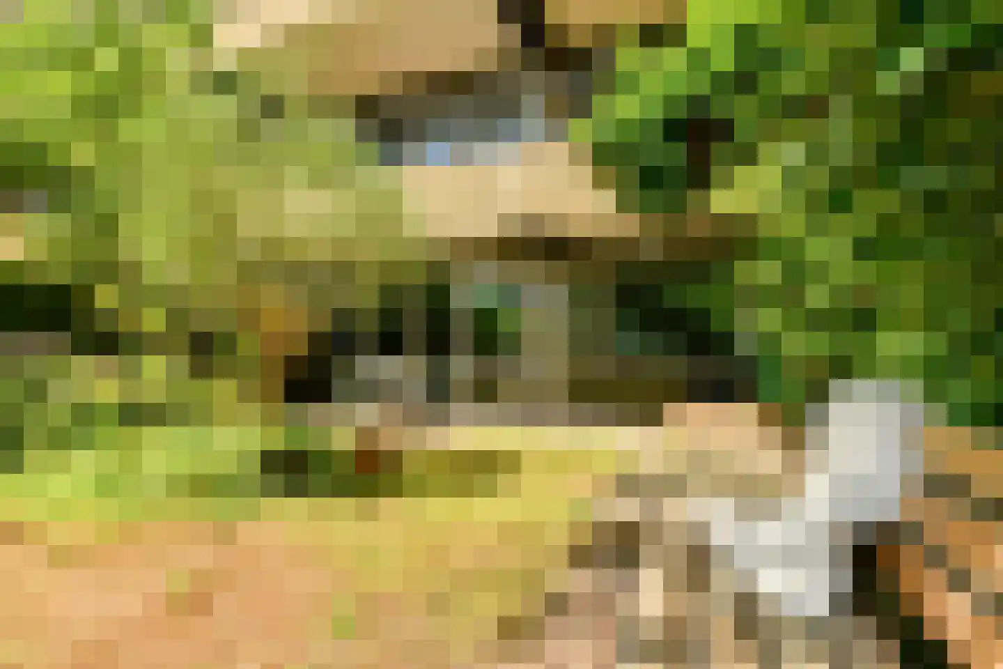 Kattenburgerhof 32 Amsterdam thumbnail 9