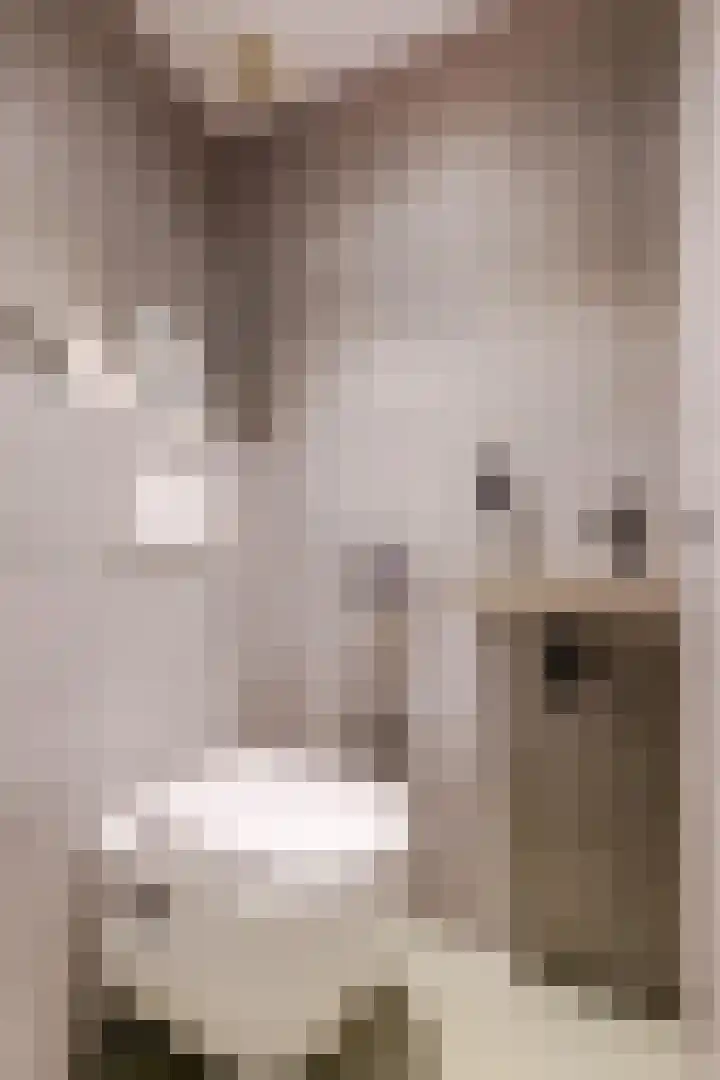 Kattenburgerhof 33 Amsterdam thumbnail 11
