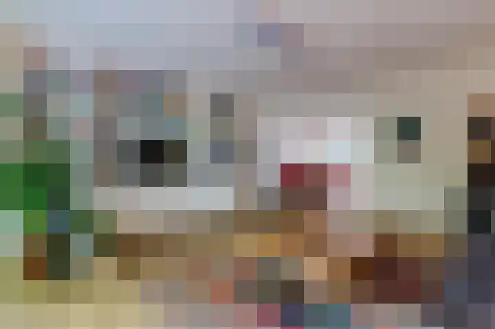 Kattenburgerhof 33 Amsterdam thumbnail 13