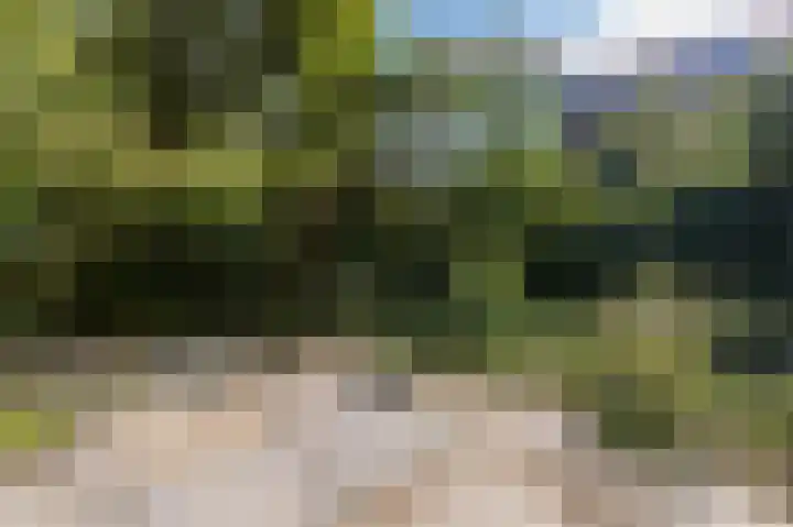 Kattenburgerhof 33 Amsterdam thumbnail 31