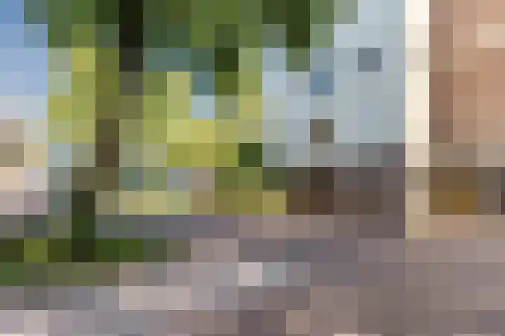 Kattenburgerhof 33 Amsterdam thumbnail 35
