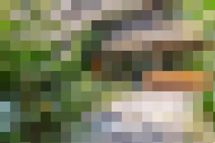Kattenburgerhof 33 Amsterdam thumbnail 8