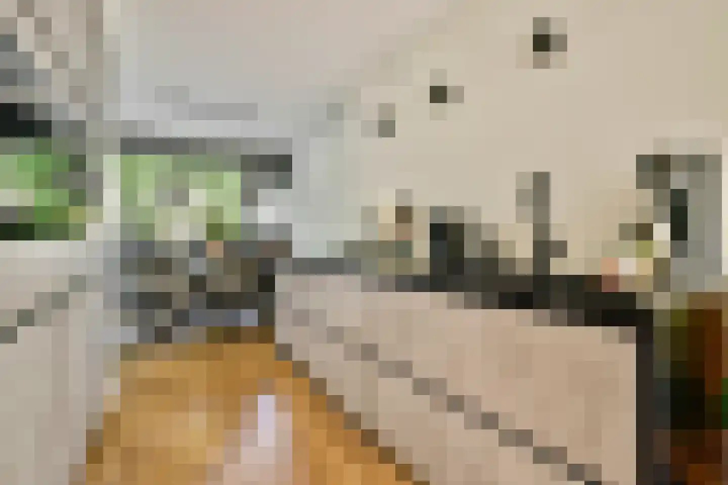 Kattenburgerstraat 148 Amsterdam thumbnail 5
