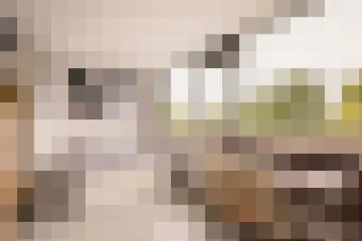 Kattenburgerstraat 236 Amsterdam thumbnail 36