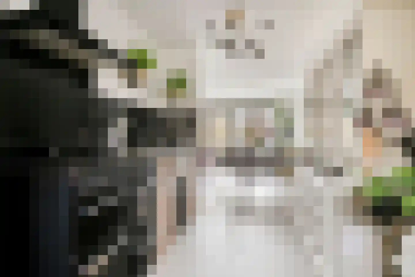 Kattenburgerstraat 248 Amsterdam thumbnail 11