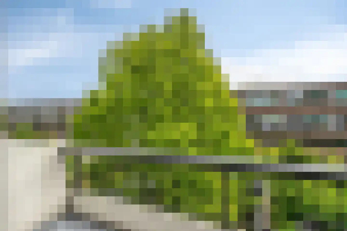 Kattenburgerstraat 248 Amsterdam thumbnail 5