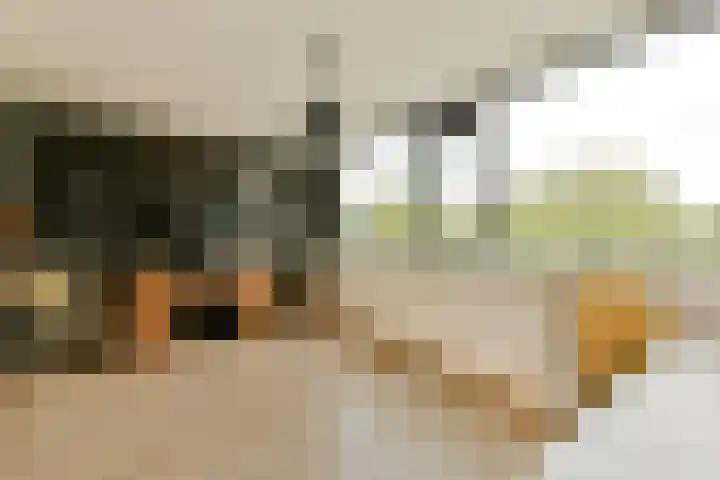 Kattenburgerstraat 366 Amsterdam thumbnail 22