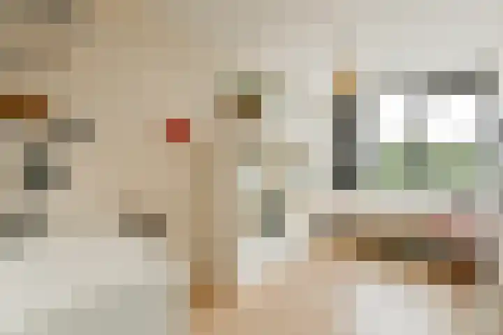 Kattenburgerstraat 366 Amsterdam thumbnail 23