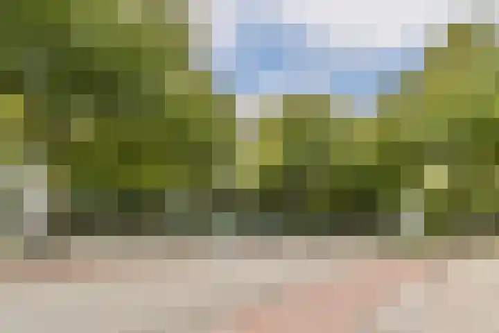 Kattenburgerstraat 366 Amsterdam thumbnail 27