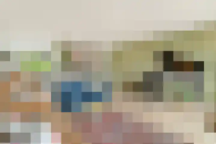 Kattenburgerstraat 366 Amsterdam thumbnail 8