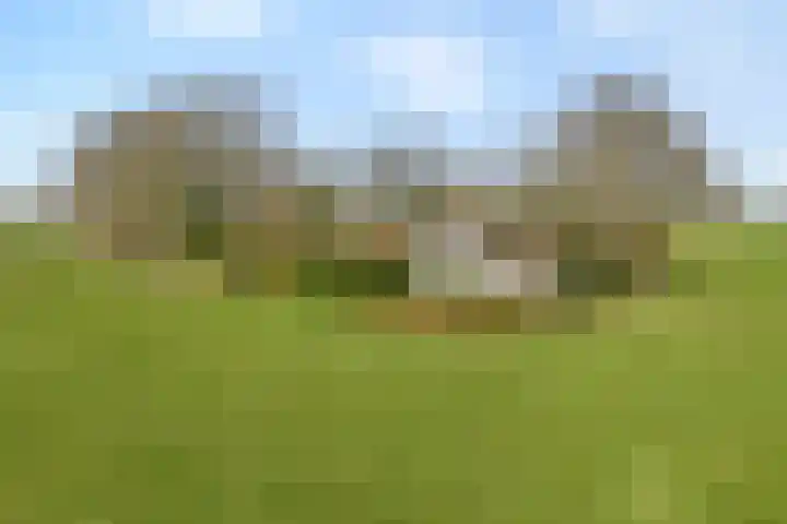 Kattendijk 1 Bruchterveld