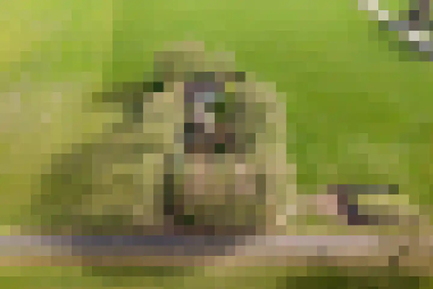 Kattendijk 1 Bruchterveld thumbnail 4