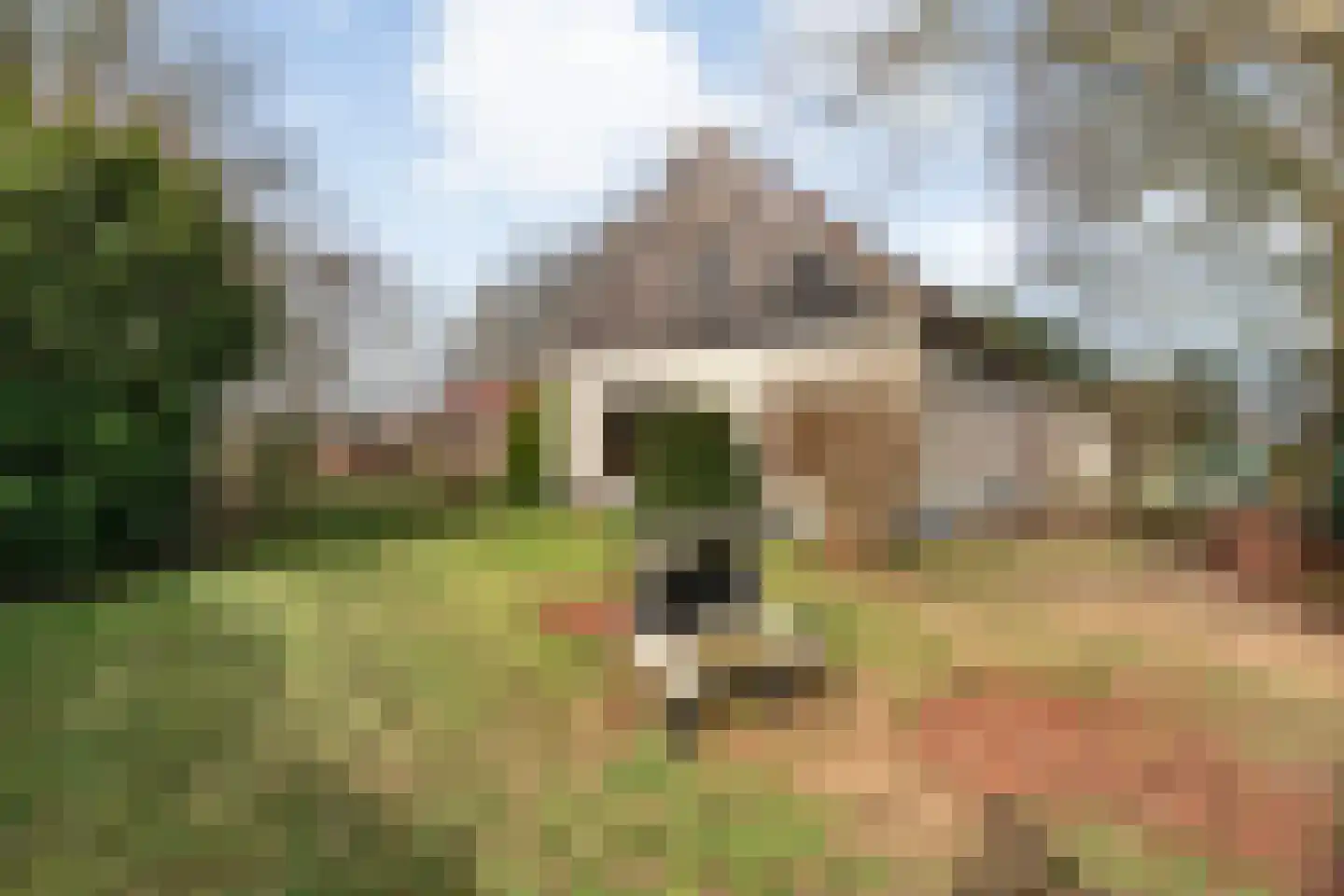 Kattendijk 1 Bruchterveld thumbnail 42