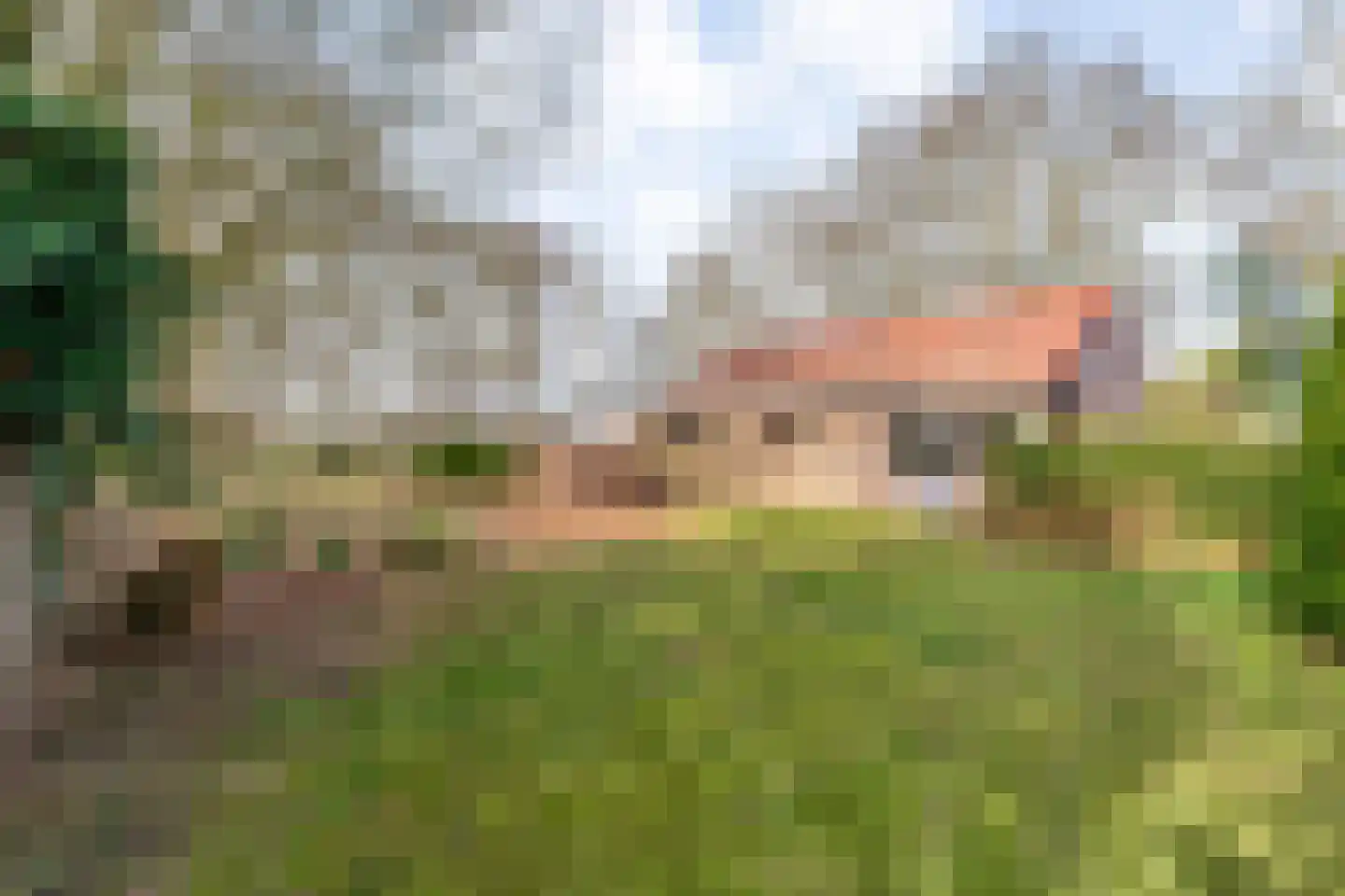 Kattendijk 1 Bruchterveld thumbnail 43