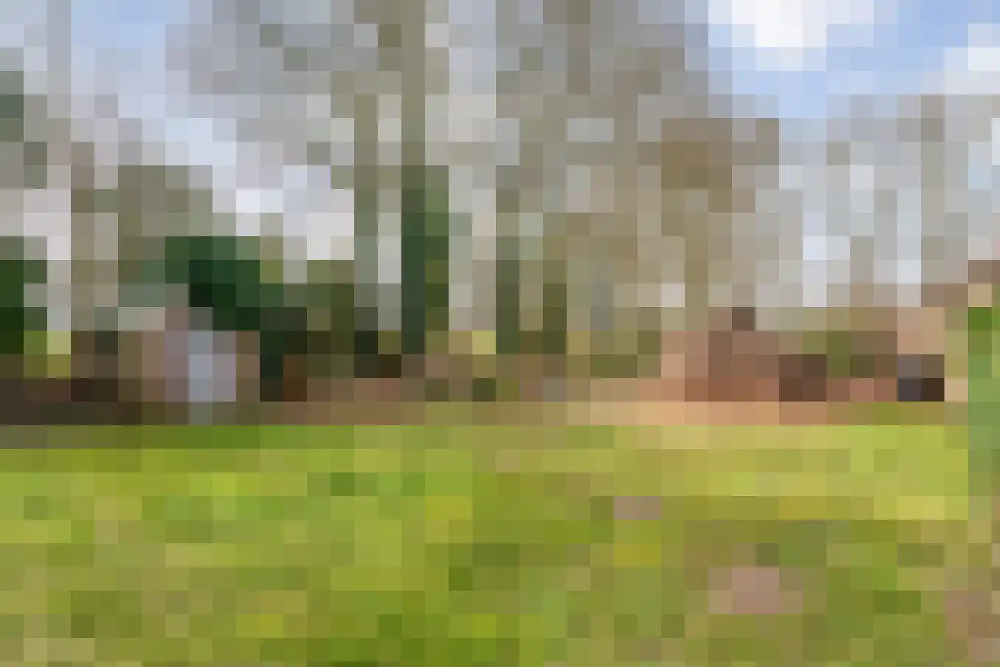 Kattendijk 1 Bruchterveld thumbnail 44