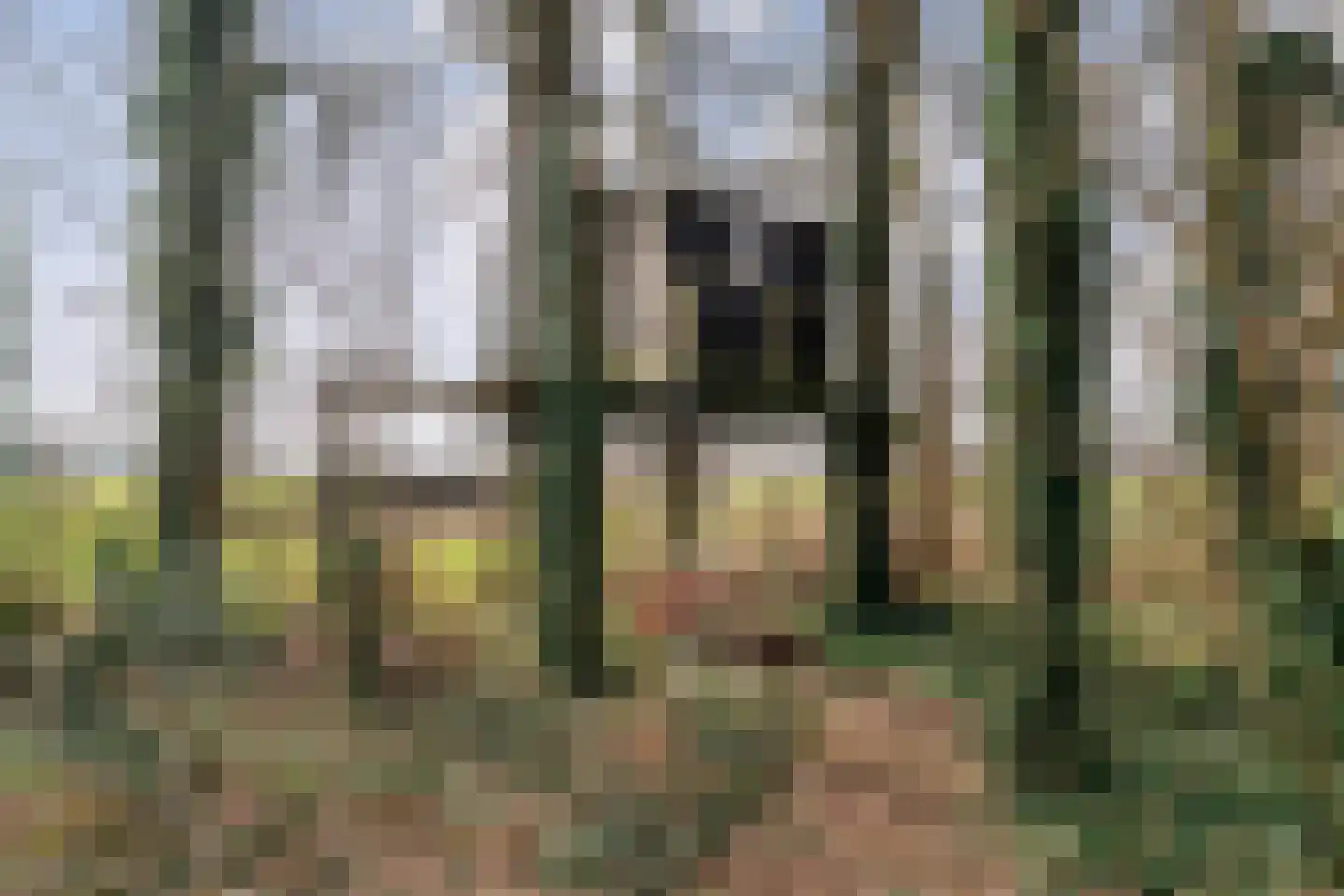 Kattendijk 1 Bruchterveld thumbnail 46