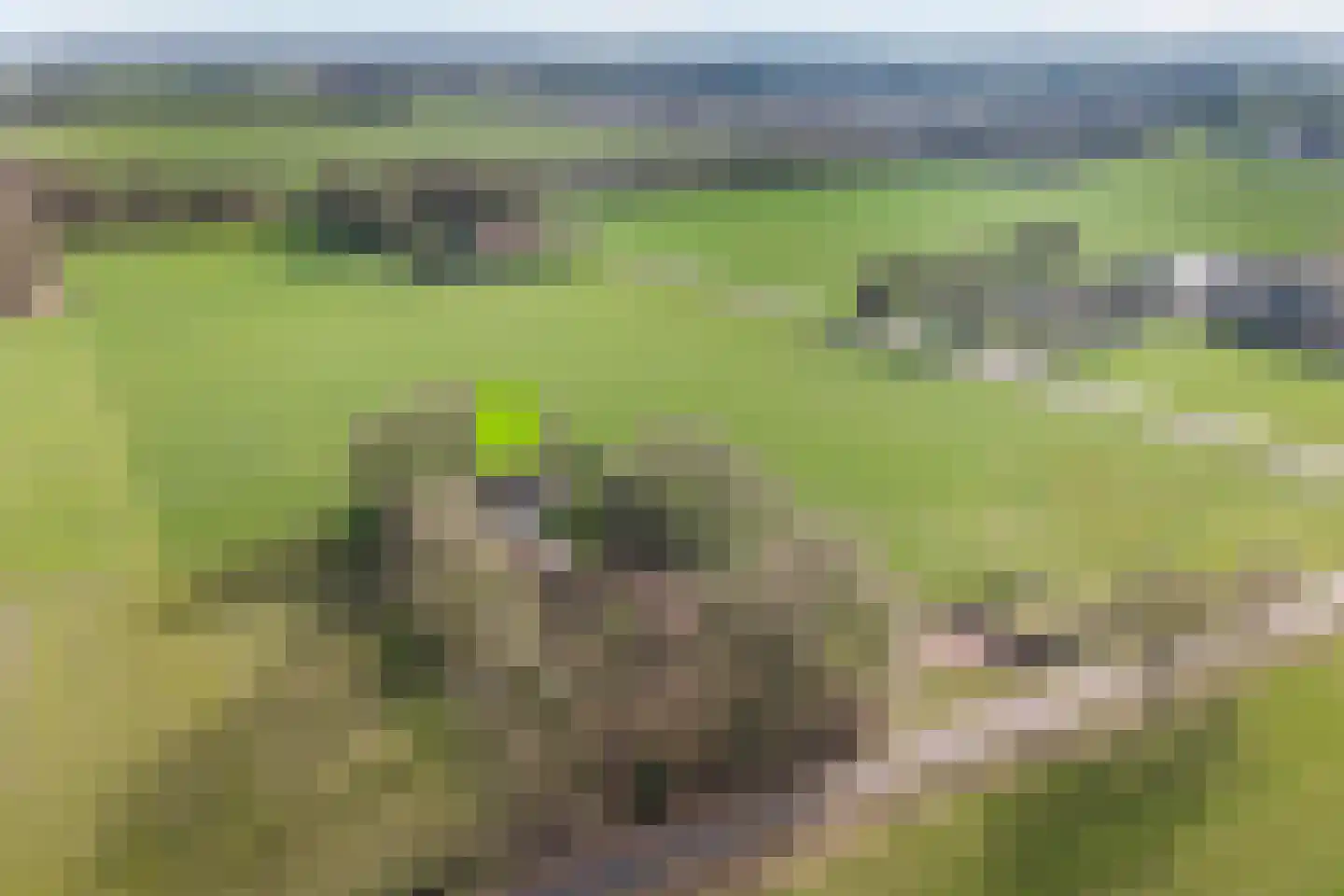 Kattendijk 1 Bruchterveld thumbnail 50