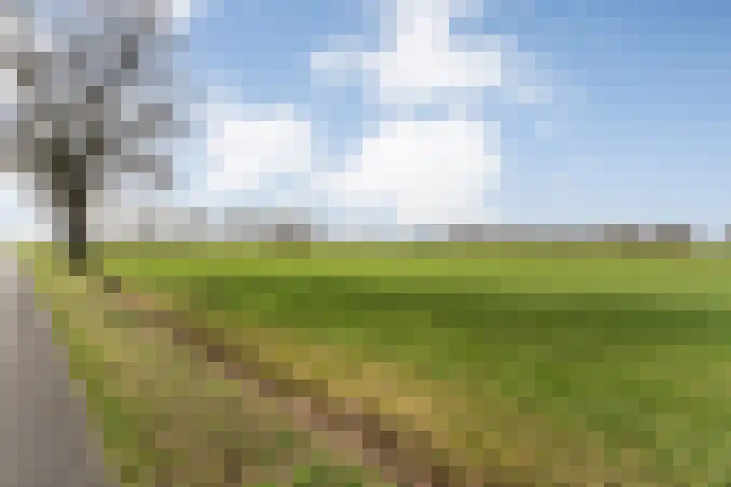 Kattendijk 1 Bruchterveld thumbnail 53