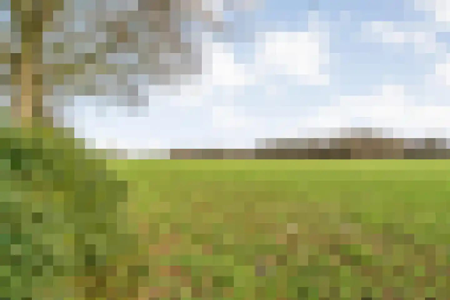 Kattendijk 1 Bruchterveld thumbnail 54