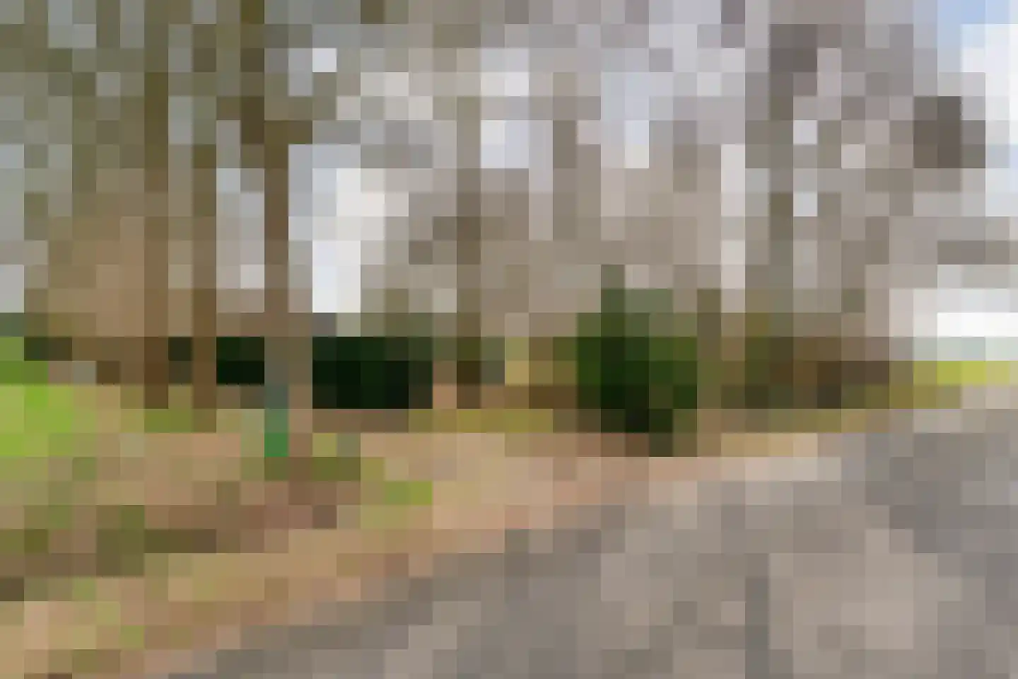Kattendijk 1 Bruchterveld thumbnail 7