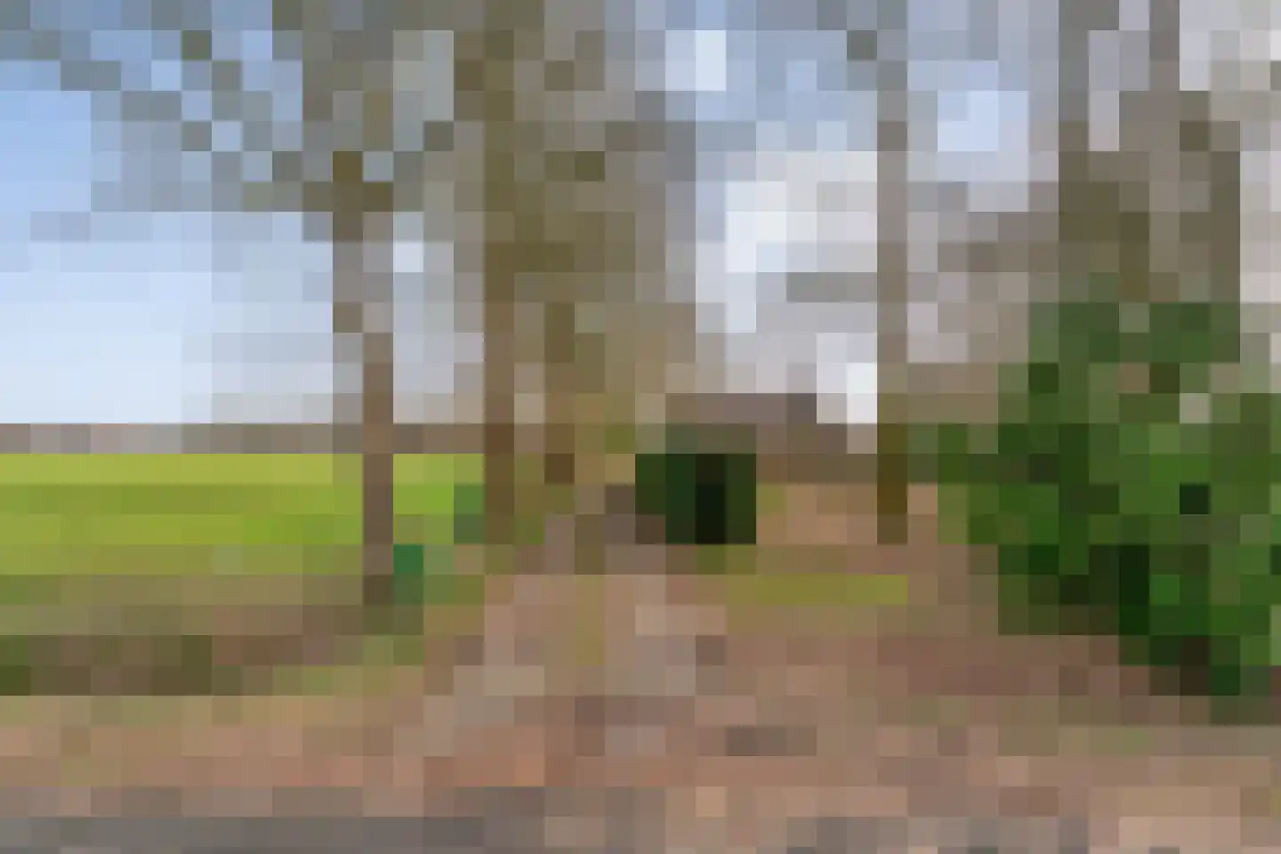 Kattendijk 1 Bruchterveld thumbnail 8