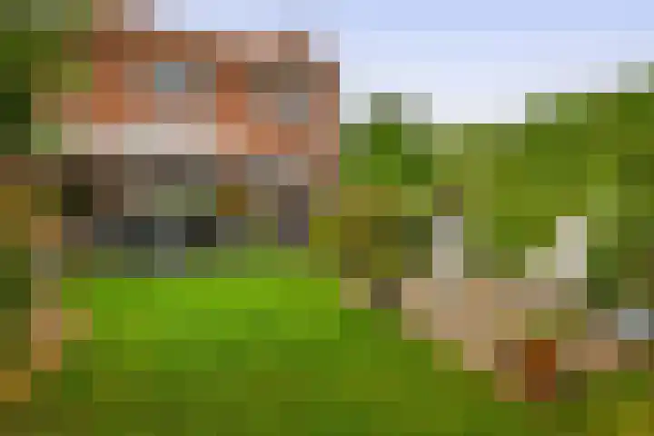 Kattendijk 111 Gouderak thumbnail 20