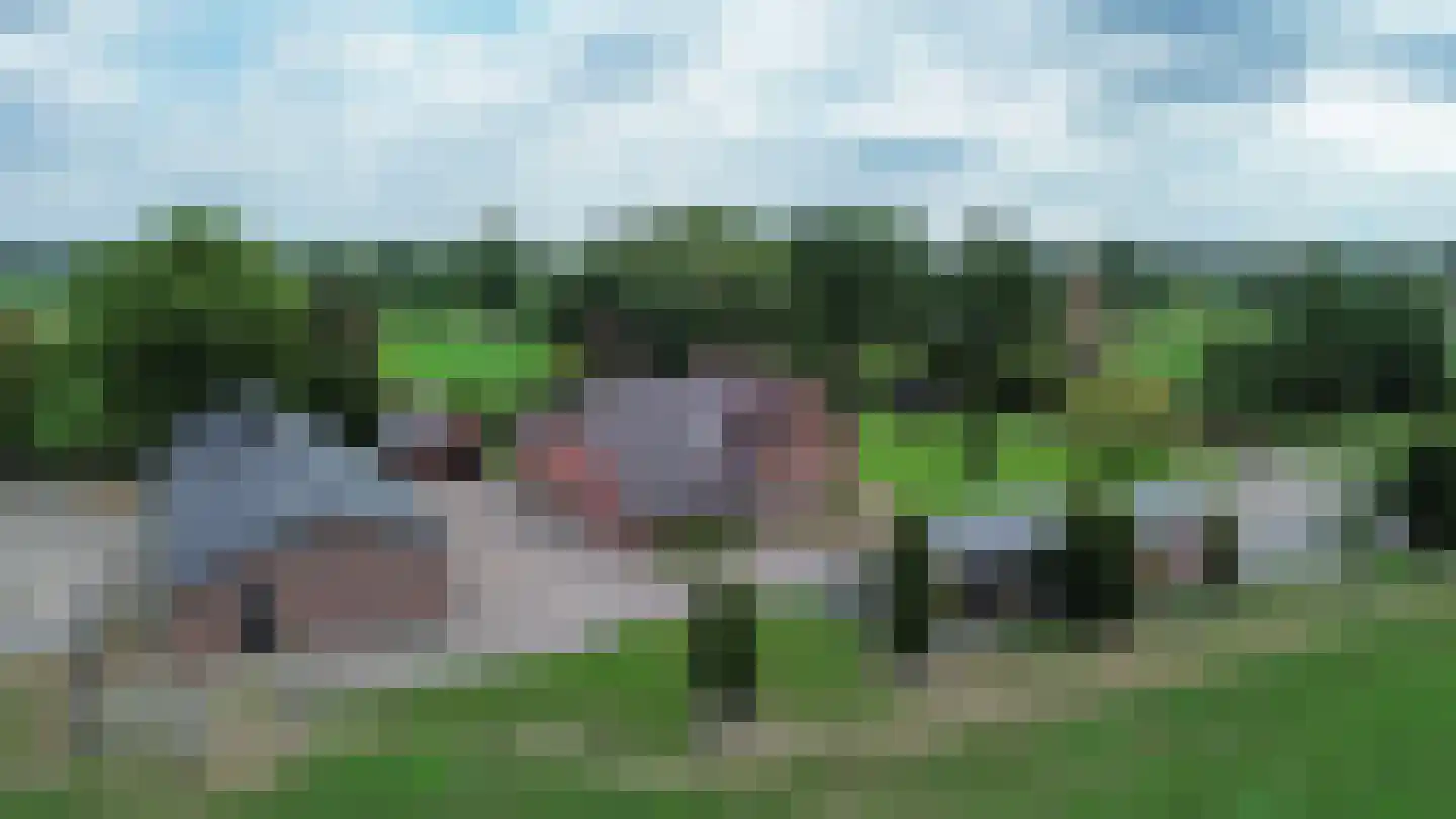 Kattendijk 2 Halle thumbnail 82