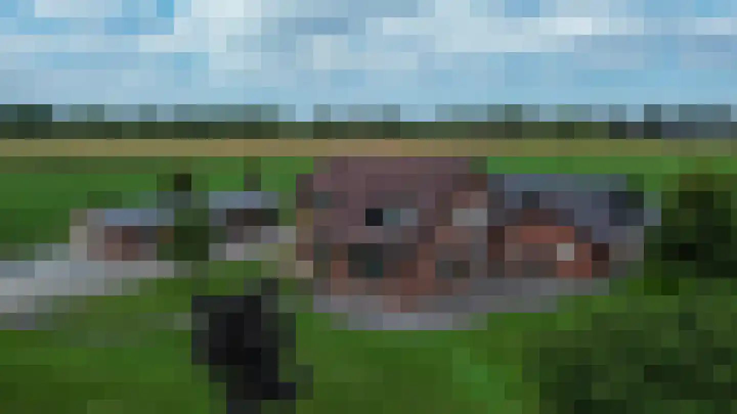 Kattendijk 2 Halle thumbnail 85