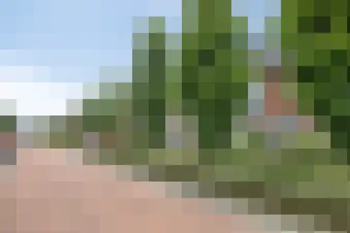 Kattendoorn 28 Driel thumbnail 42
