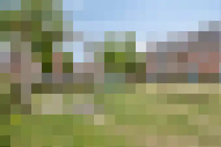 Kattendoorn 28 Driel thumbnail 43