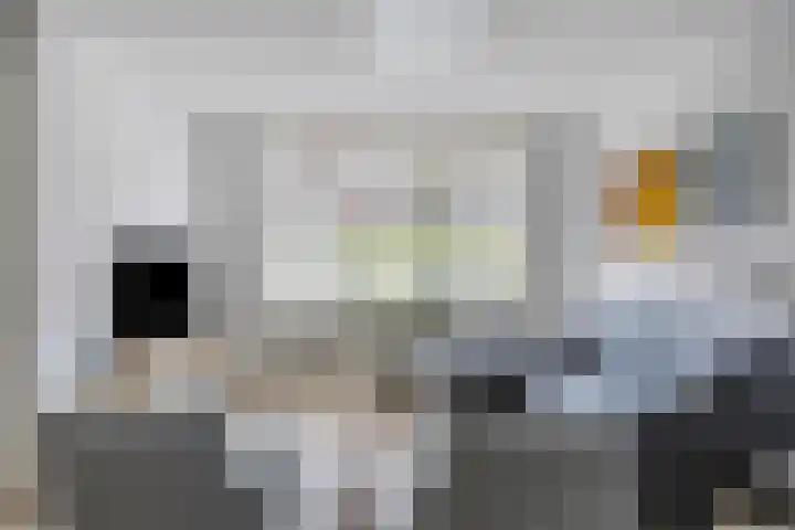 Kattendoorn 36 Driel thumbnail 13