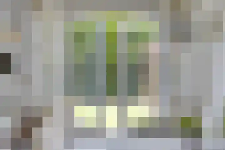 Kattendoorn 36 Driel thumbnail 19
