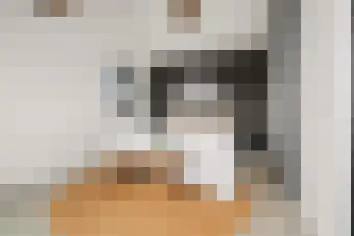 Kattendoorn 43 Driel thumbnail 34