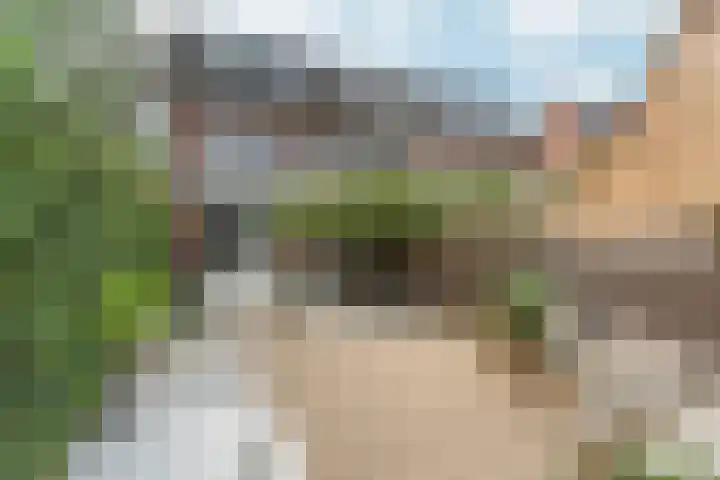 Kattendoorn 43 Driel thumbnail 43