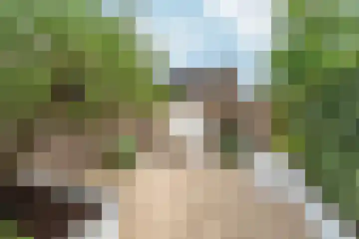 Kattendoorn 43 Driel thumbnail 44