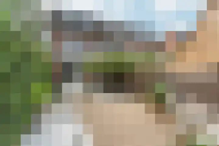Kattendoorn 43 Driel thumbnail 5