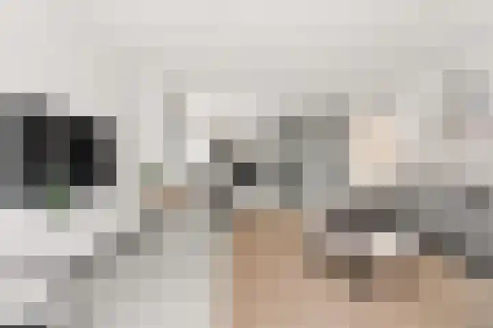Kattendoorn 43 Driel thumbnail 8