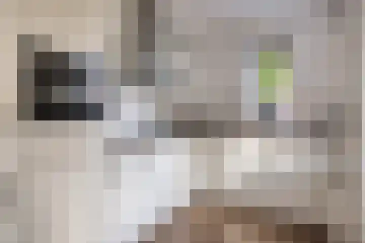 Kattendoorn 8 Driel thumbnail 12