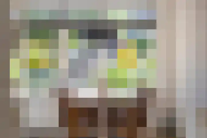 Kattendoorn 8 Driel thumbnail 15