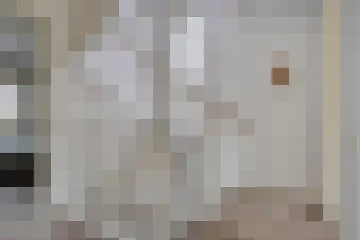 Kattendoorn 8 Driel thumbnail 26