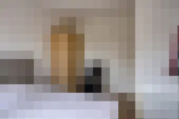 Kattendoorn 8 Driel thumbnail 34